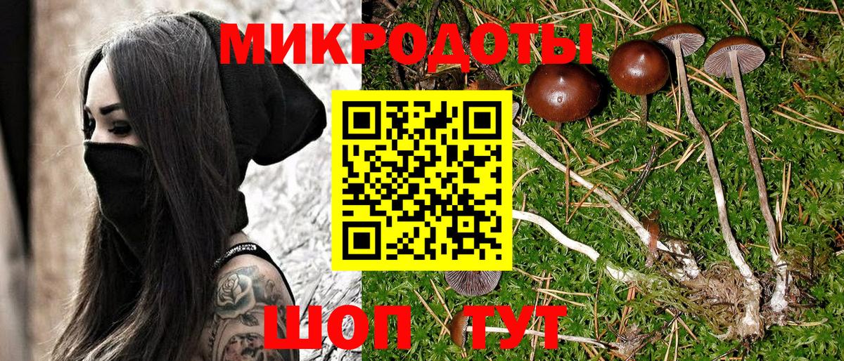 Псилоцибиновые грибы прущие грибы  Вход с VPN  Советск  Галлюциногенные грибы Psilocybine cubensis 